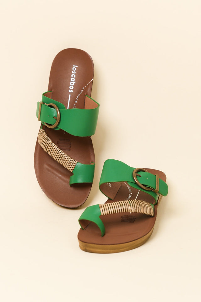 Bria Green Slide image 2