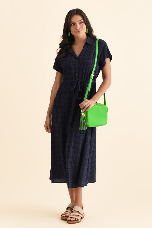 alt text|model:Brontie