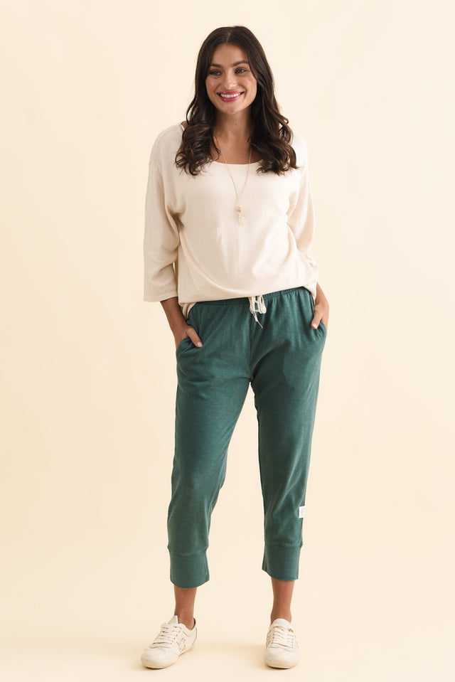 alt text|model:Brontie