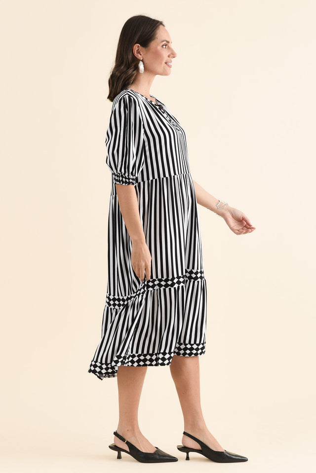 Harlequin Black Stripe Pocket Dress image 3