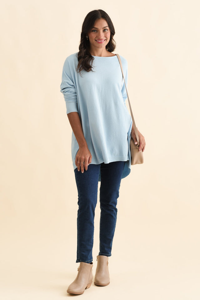 alt text|model:Brontie