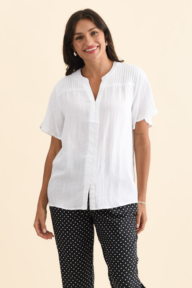 alt text|model:Brontie