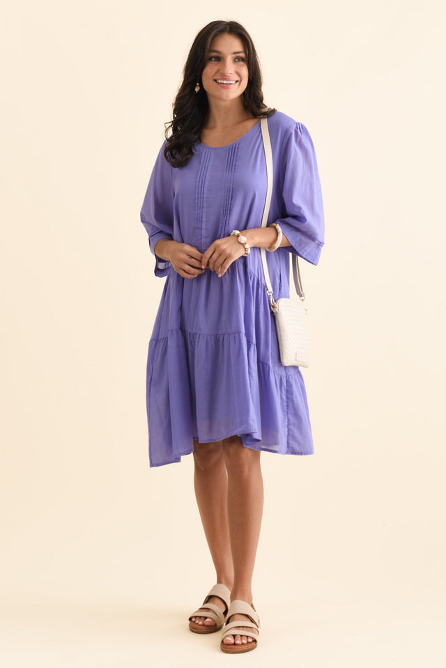 alt text|model:Brontie