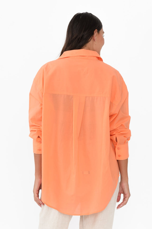 alt text|model:Brontie image 5