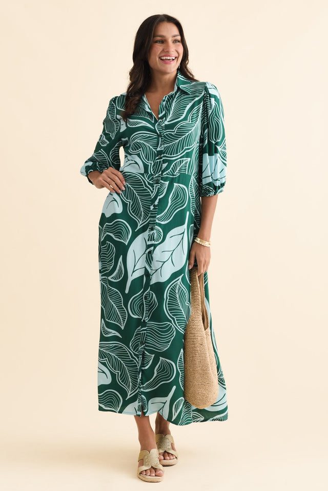 alt text|model:Brontie