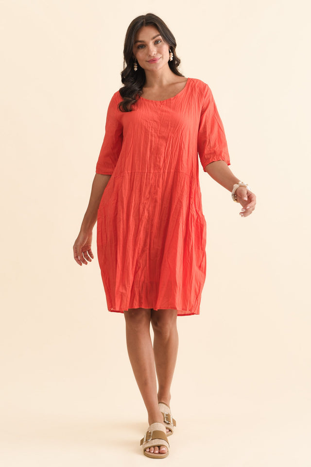 alt text|model:Brontie