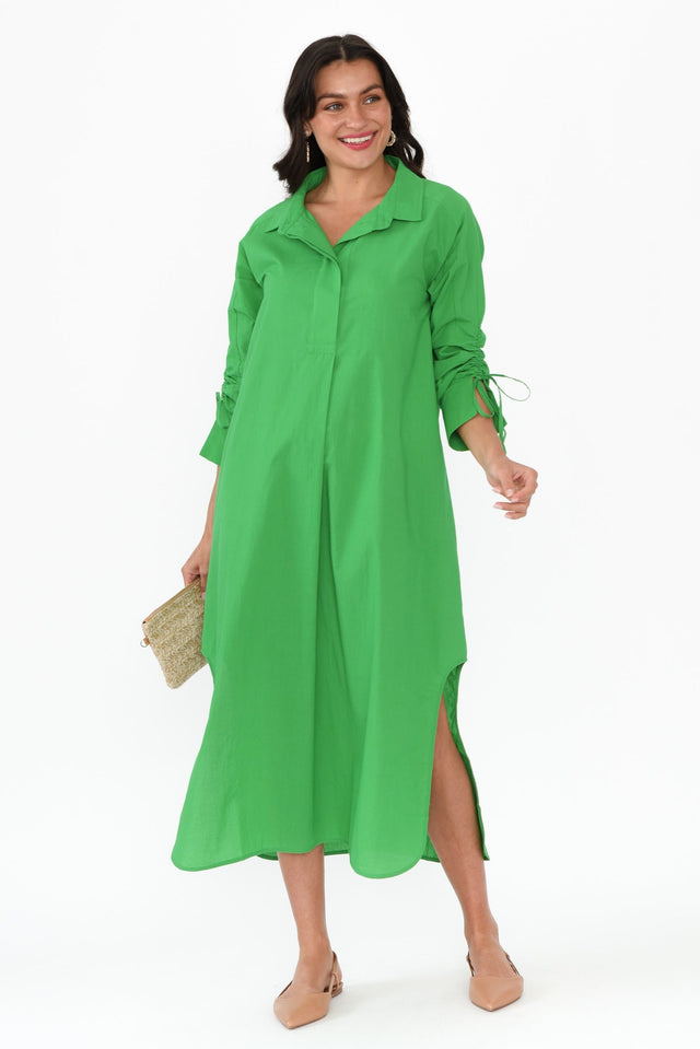 alt text|model:Brontie