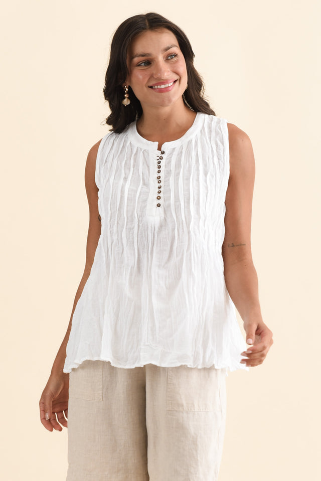 alt text|model:Brontie