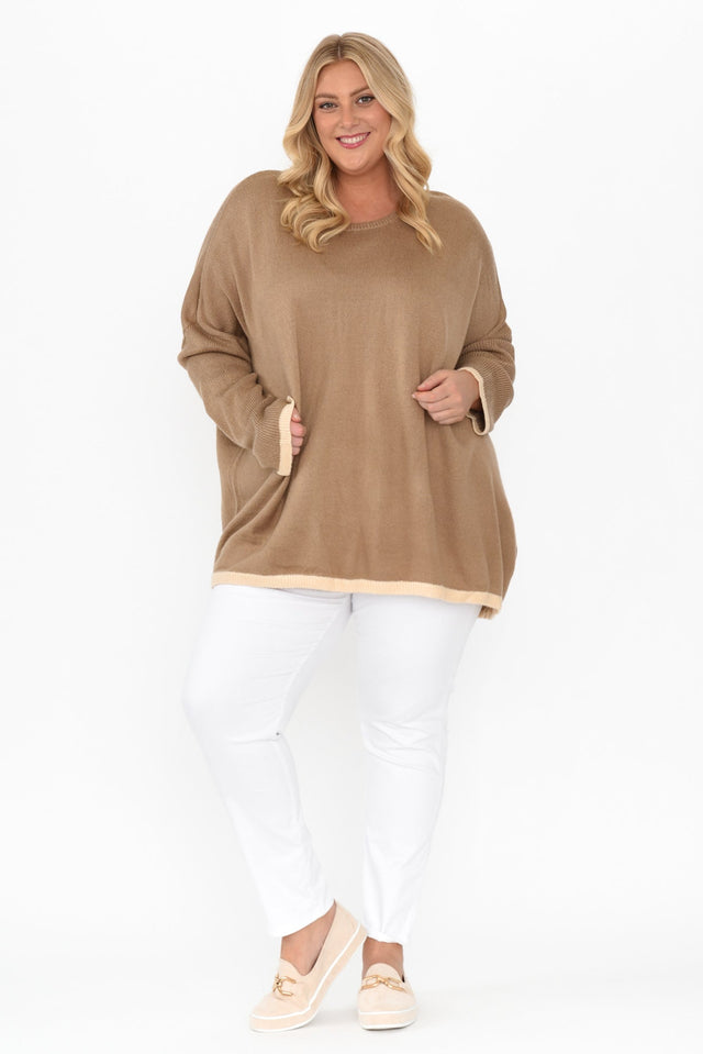 Coralie Taupe Contrast Knit Jumper image 10
