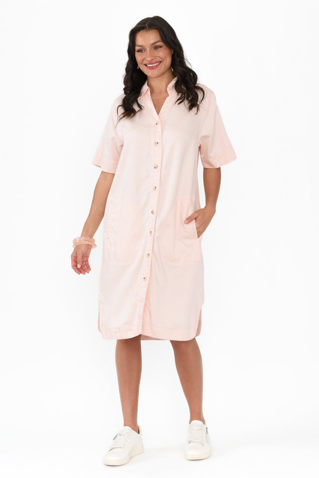 alt text|model:Brontie