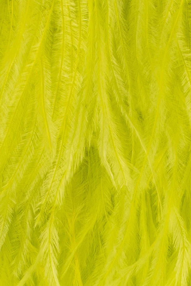 Estelle Yellow Feather Clutch