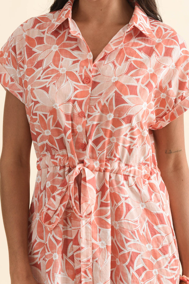 alt text|model:Brontie image 6