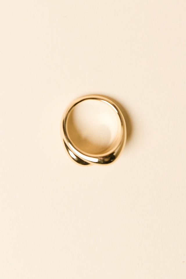 Jem Gold Double Band Ring image 3