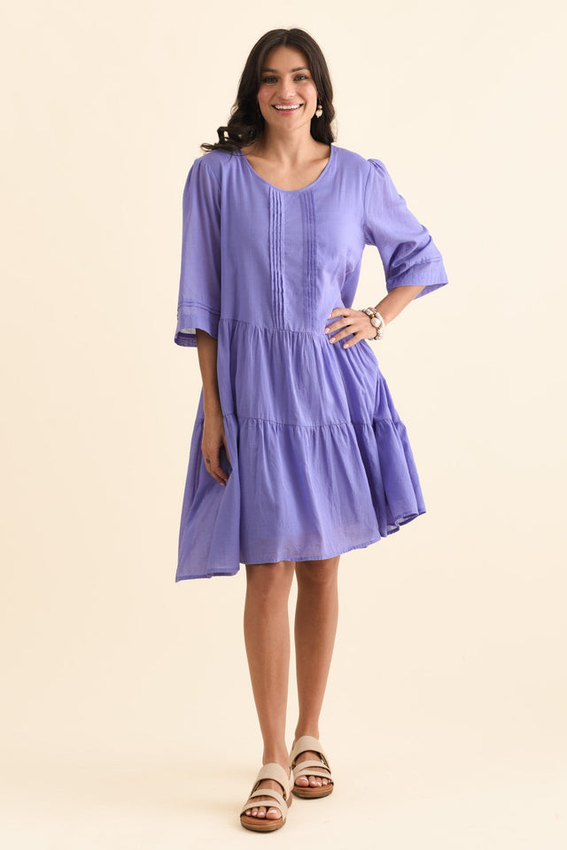 alt text|model:Brontie