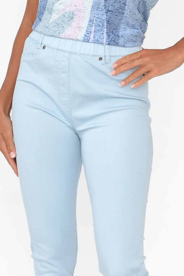 Reed Blue Stretch Cotton Pants image 3