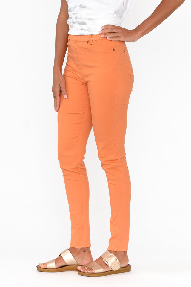 Reed Orange Stretch Cotton Pants