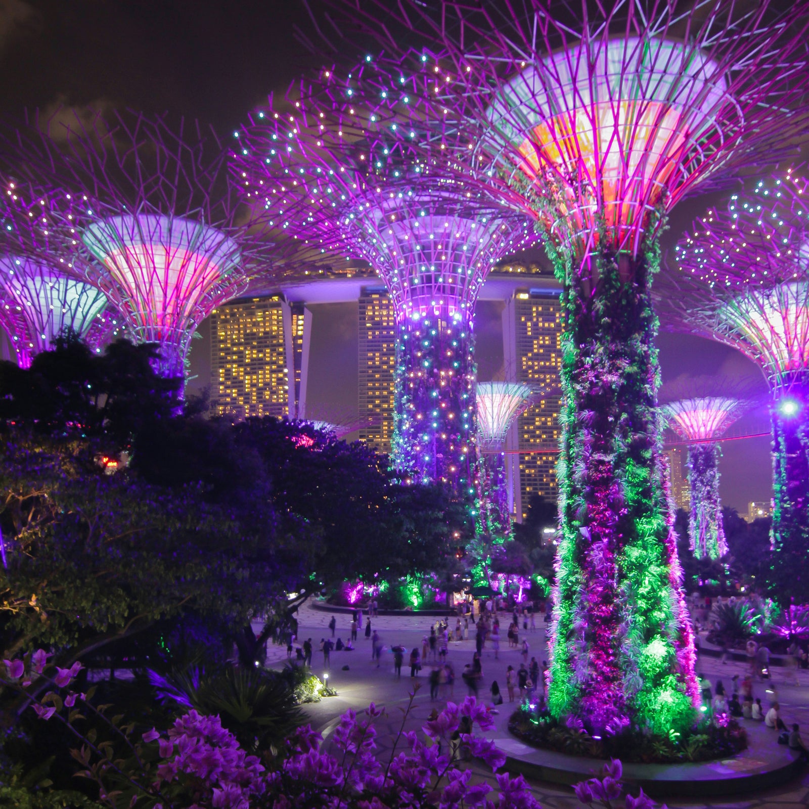 Supertrees at Gardens by the Bay in Singapore.