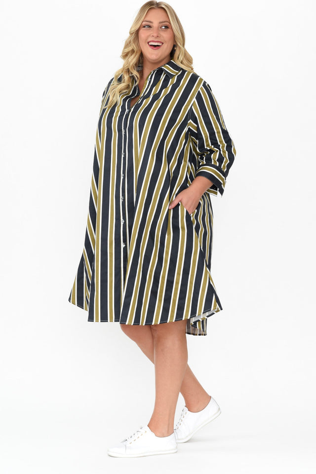 Violeta Navy Stripe Cotton Shirt Dress