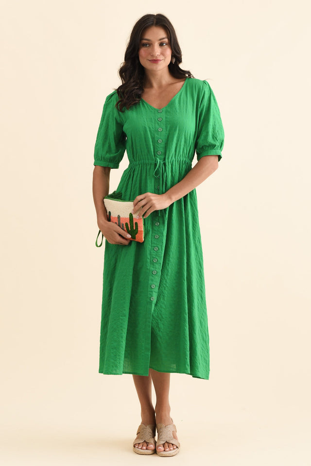 alt text|model:Brontie