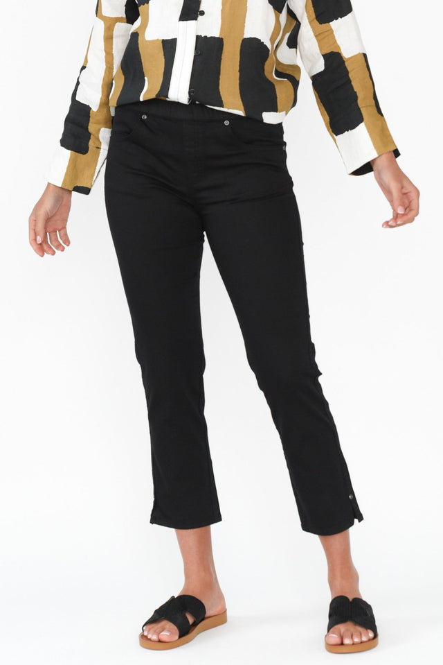 alt text|model:Brontie