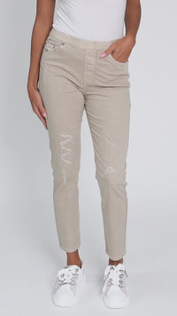 alt text|model:Brontie