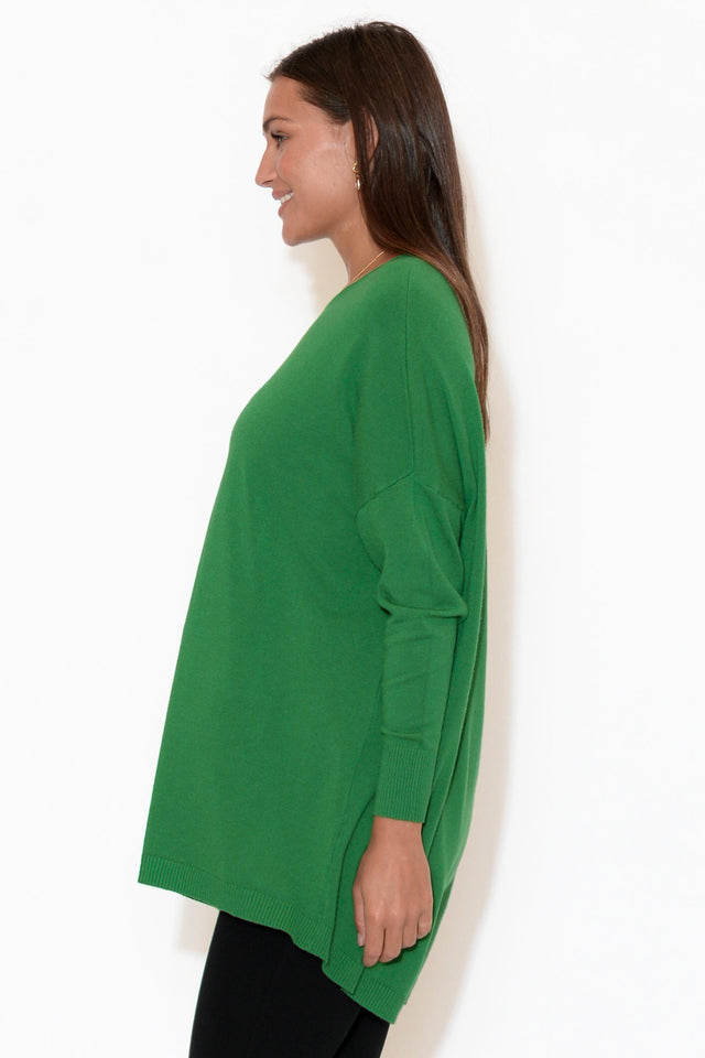 Meryl Green Wool Blend Drape Jumper image 3